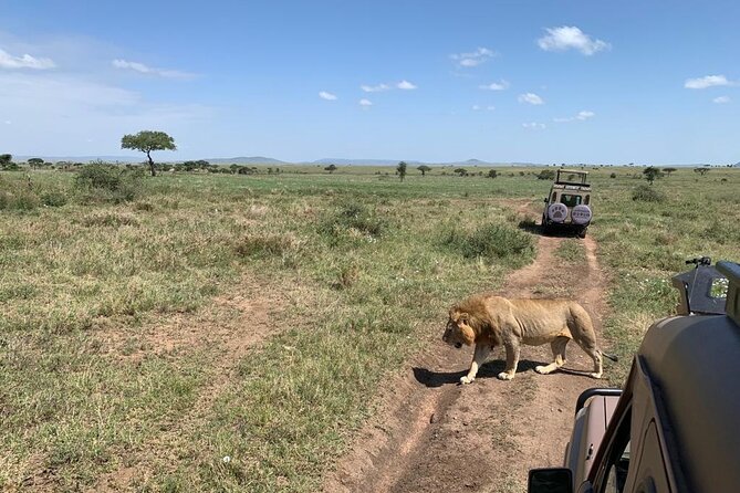04 Days Tarangire, Serengeti and Ngorongoro crater group (Camping - Day one: Tarangire gives you an immediate wildlife start