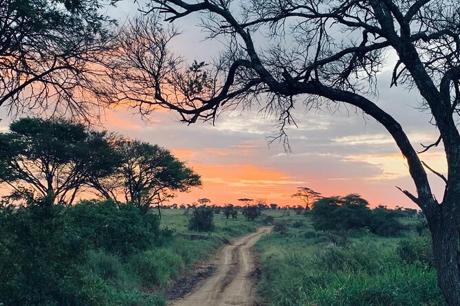 04 Days Tarangire, Serengeti and Ngorongoro crater group (Camping - Day four: Six hours inside Ngorongoro Crater