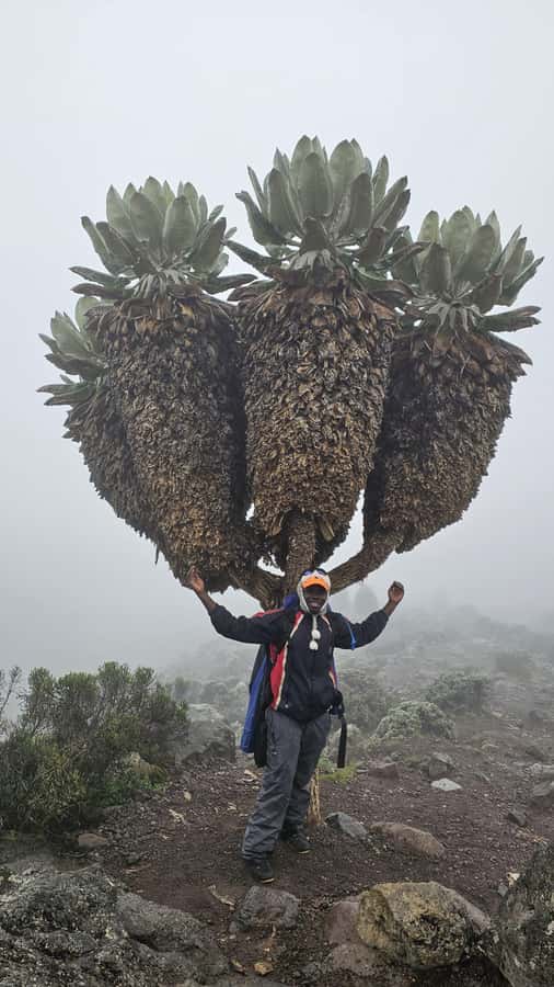 #1. Best Kilimanjaro Day hike Tour-Machame Route-ISMANI - Who Will Enjoy This Hike Most?