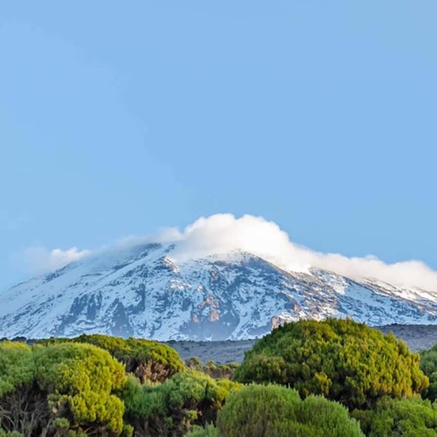 #1. Best Kilimanjaro Day hike Tour-Machame Route-ISMANI - Leaving Moshi Early For Machame Gate