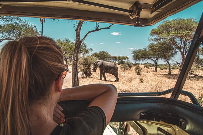 1-Day Fly in Shared Safari to Mikumi National Park from Zanzibar - Why Mikumi works as a one-day safari from Zanzibar