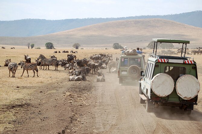 1-Day Fly in Shared Safari to Mikumi National Park from Zanzibar - Entering Mikumi National Park by safari jeep