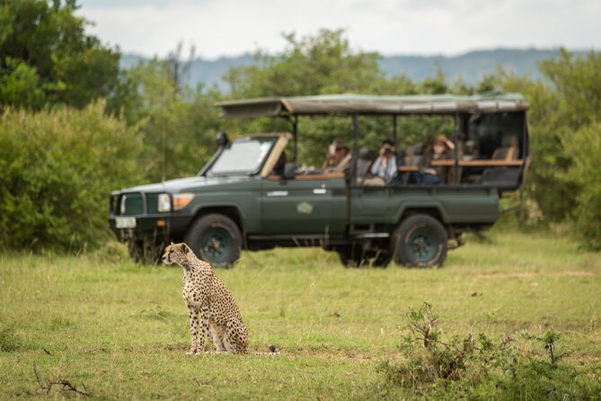1-Day Fly in Shared Safari to Mikumi National Park from Zanzibar - Guides who shape the quality of the day