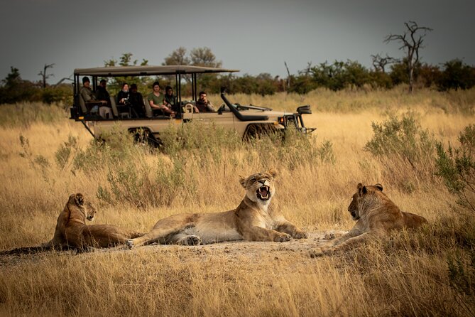 1-Day Fly in Shared Safari to Mikumi National Park from Zanzibar - Picnic lunch, water, and what is actually included