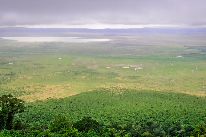 1 Day Joined Group Safari in Ngorongoro Crater National Park - The 5 a.m. pickup from Arusha