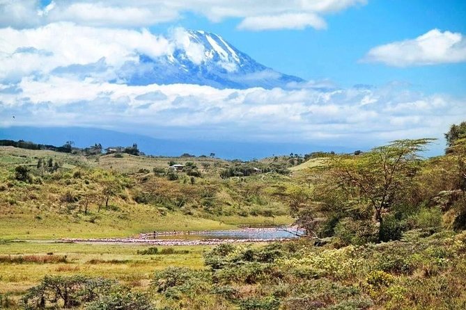 1 Day Kilimanjaro Hiking - Machame Route - What the $250 price includes