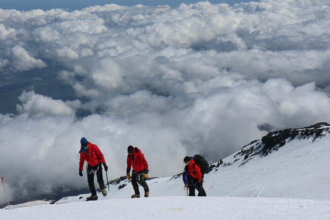1 Day Marangu route trip up to Mandara Hut | Kilimanjaro hiking - The rainforest trail to 2,743 meters