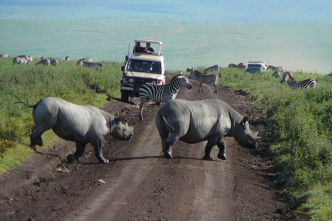 1 Day Ngorongoro Crater Group Jioning Safari - The 6:00 or 6:30 start from Arusha