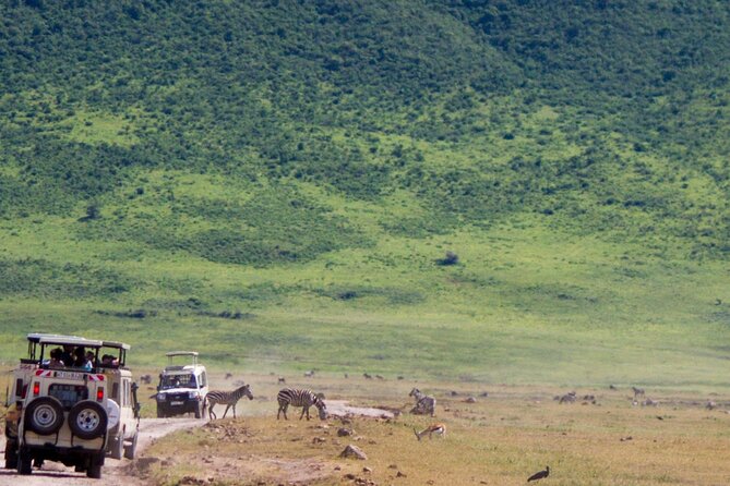 1 Day Ngorongoro Crater Group Jioning Safari - Game viewing on the crater floor