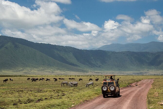 1 Day Ngorongoro Crater Group Jioning Safari - Picnic lunch at Ngoitokok swamp