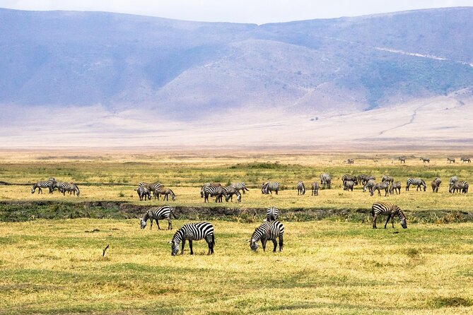 1 Day Ngorongoro Crater Group Jioning Safari - Guides, vehicle, and service