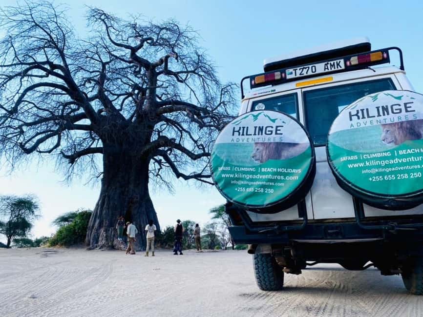 1-Day Ngorongoro Crater Special Big 5- Joining Group Safari - Key points before you book