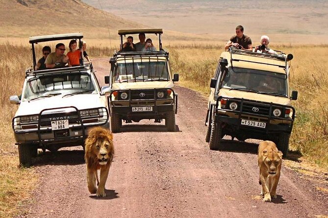 1 Day Private Ngorongoro Crater Safari - A warm lunch beside the hippo pool