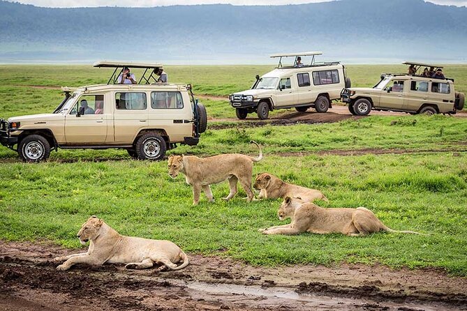 1 Day Private Ngorongoro Crater Safari - What is included, and what you still pay for