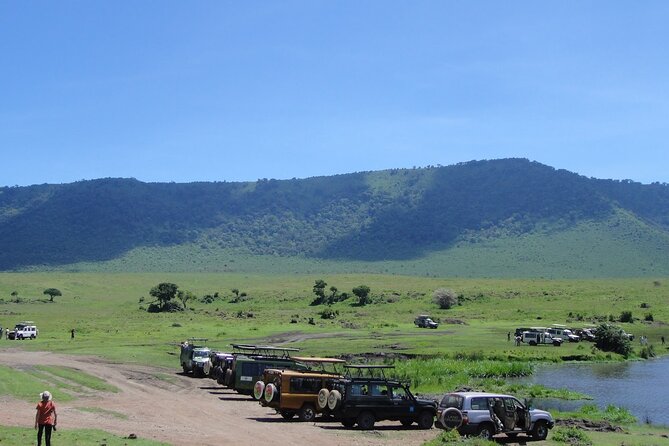 1 Day Private Ngorongoro Crater Safari - Who should book this safari?