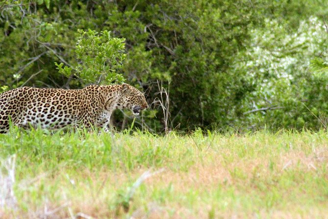 1-Day Ruaha National Park - The journey from Iringa to the park