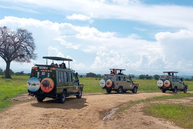 1 Day Safari to Mikumi National Park - Who should book this safari?