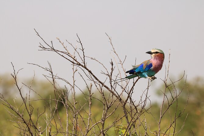 1-Day Safari-Trip to Tarangire National Park - Leaving Arusha for the park