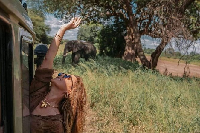 1. Day safaris to Mikumi by Train from dar es salaam - Why Mikumi by train makes sense from Dar es Salaam