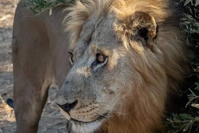 1. Day safaris to Mikumi by Train from dar es salaam - Mikumi National Park and its wildlife
