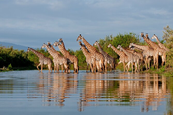 1-Day Selous (Nyerere National Park) Fly-In Safari from Zanzibar - Entering Nyerere National Park and the Rufiji River