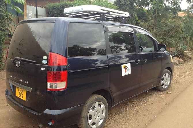 1 day tour hike mount kilimanjaro through marangu route - The 3 to 4 hour climb to Mandara Hut