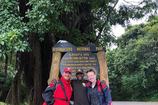1 day tour hike mount kilimanjaro through marangu route - The two-hour descent to Marangu Gate