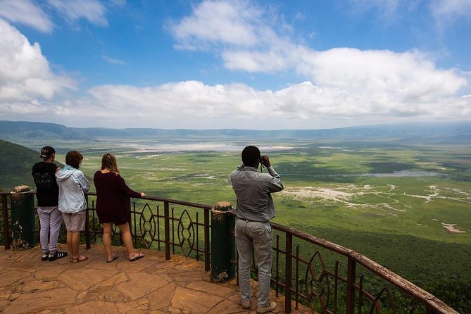 1-Day Tour to Ngorongoro Crater - Lunch, water, and the practical side of the day