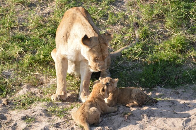 10-Day Amazing Comfort Camping Safari - Day 3: Mto wa Mbu and Lake Manyara