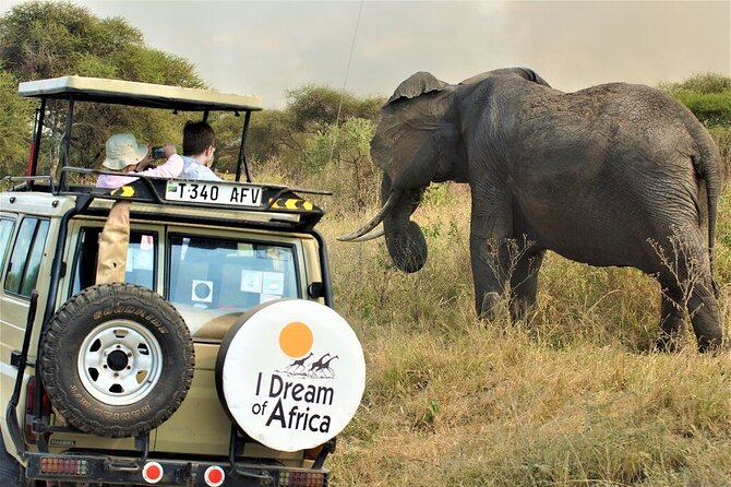 10-Day Amazing Comfort Camping Safari - Day 7: Sunrise in the Serengeti, evening near Ngorongoro