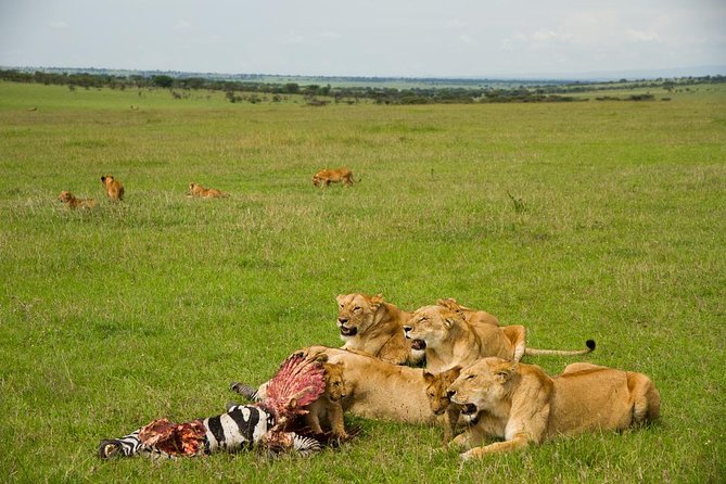 10 days family safari Tanzania - Day 2: Lake Manyara’s forest and Rift Valley setting
