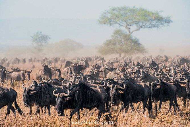 10 days family safari Tanzania - Day 3: Lake Natron, flamingos, and the Ngaresero River