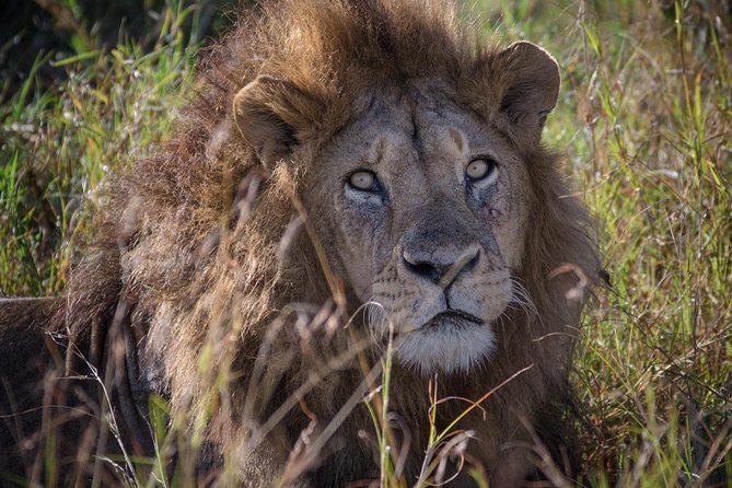 10 Days Mikumi Ruaha Selous Experience - Key points before you book
