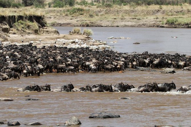12 Days Amazing Tanzania Wildlife and Cultural Experience - Days 3 to 5: Tarangire brings the elephants