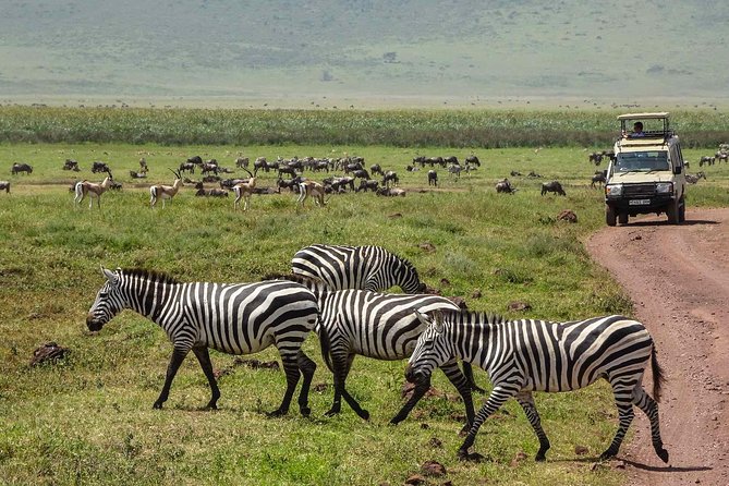12 Days Amazing Tanzania Wildlife and Cultural Experience - Day 6: Lake Eyasi adds real cultural contact