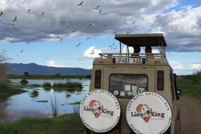 12 days Luxury Tanzania Honeymoon Safari and Zanzibar - Day 2: Elephants and river country in Tarangire