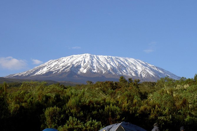 13 Days Adventure in Tanzania - Trekking and Wildlife Safari - One trip, two very different Tanzanian experiences