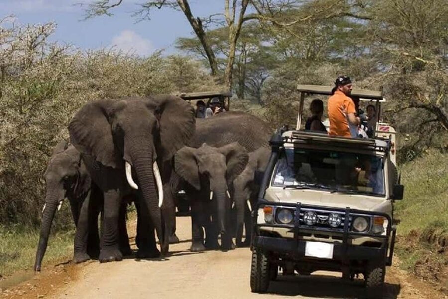 2 DAY-ADVENTURE SAFARI IN TANZANIA - Two parks, two very different safari moods