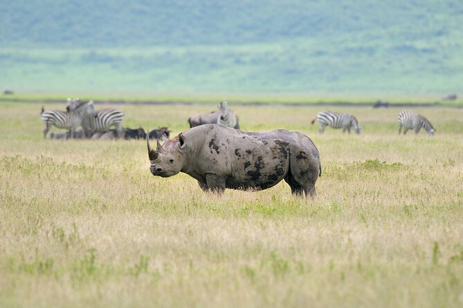 2 Day Budget Safari in Tarangire and Ngorongoro From Arusha - Bird watching and crater viewpoints