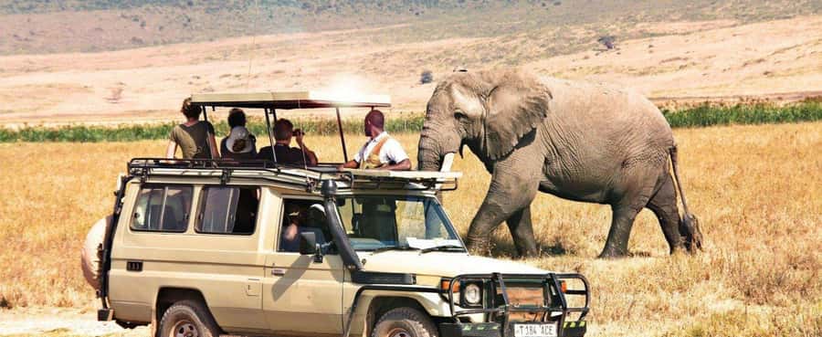 2-Day Private Luxury Safari from Zanzibar with Flights - What this Zanzibar safari is really designed to do