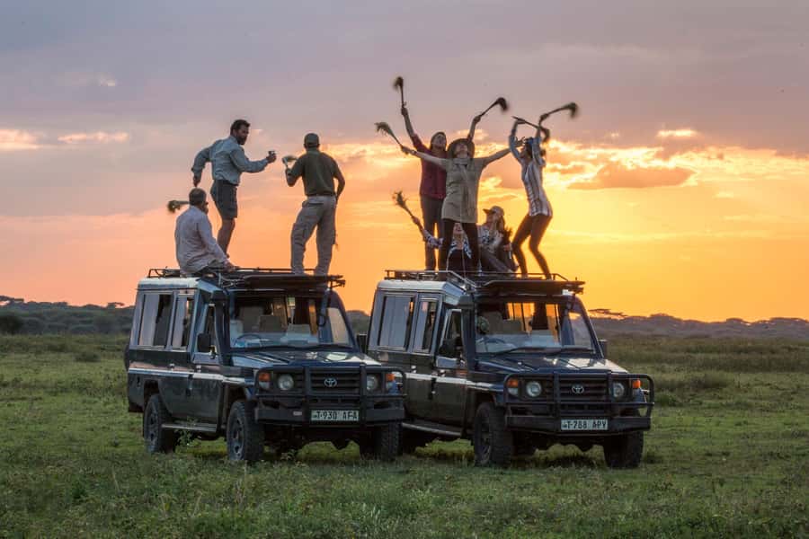 2-Day Private Luxury Safari from Zanzibar with Flights - Flying from Zanzibar to Tarangire National Park