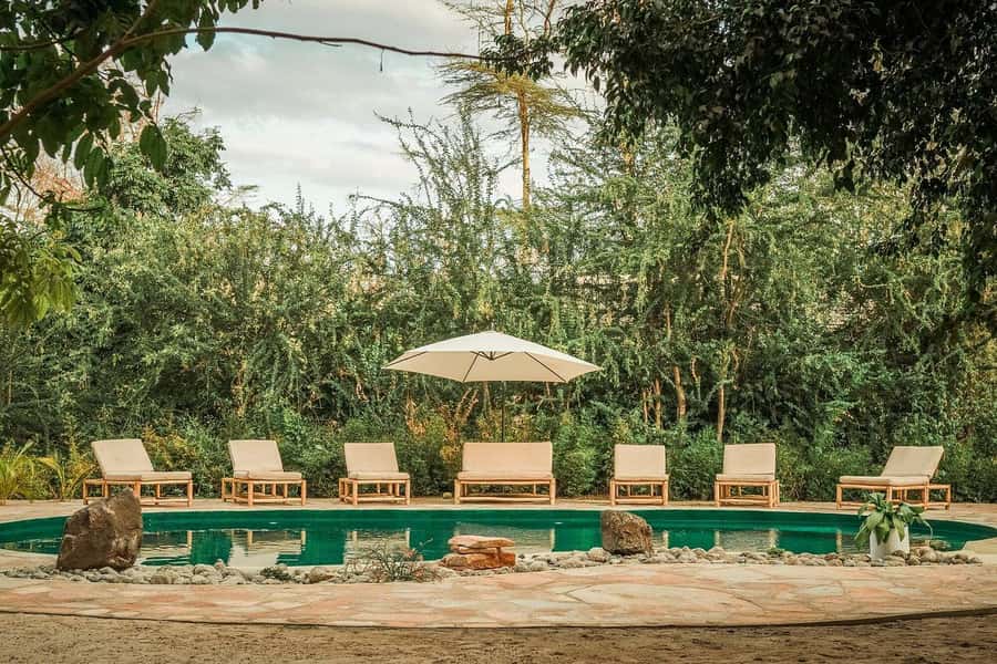 2-Day Private Luxury Safari from Zanzibar with Flights - Entering Ngorongoro Crater on the second morning