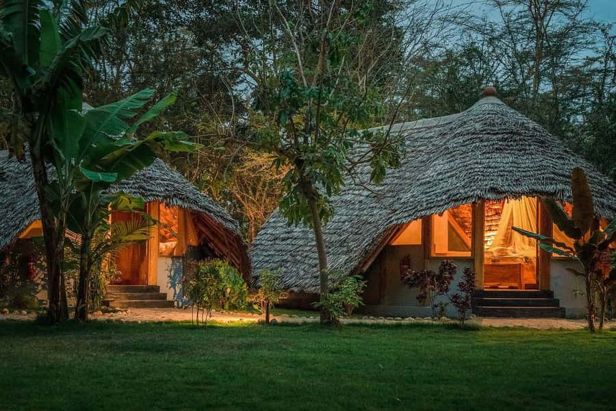 2-Day Private Luxury Safari from Zanzibar with Flights - What the $1,600 price includes