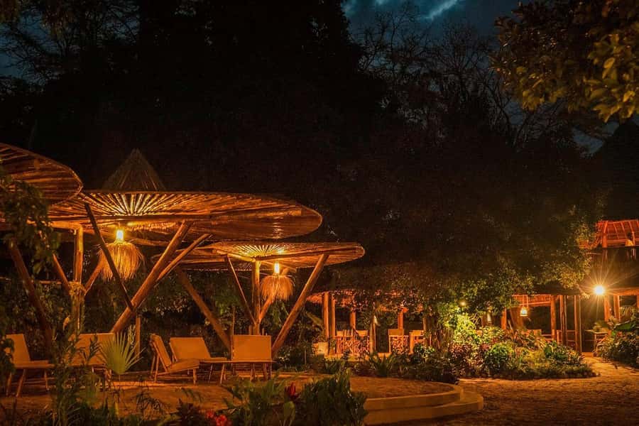 2-Day Private Luxury Safari from Zanzibar with Flights - The private group makes the tight schedule easier