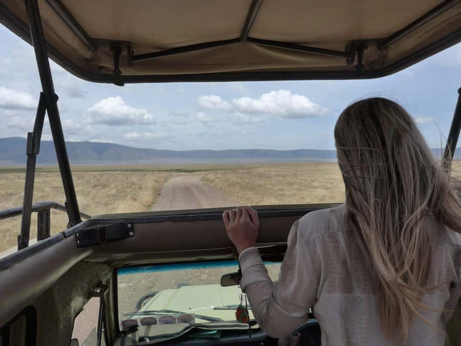 2-Day Private Luxury Safari from Zanzibar with Flights - Should you book this two-day safari from Zanzibar?