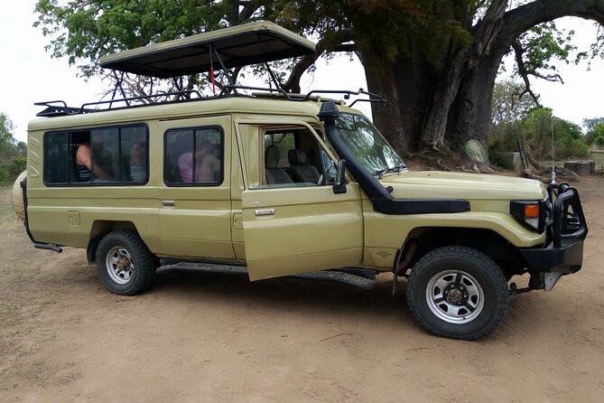 2-Day Private Mikumi National Park Tour with Pickup - The first Mikumi game drive