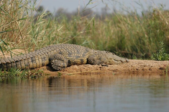 2-Day Private Mikumi National Park Tour with Pickup - The overnight stay and included meals