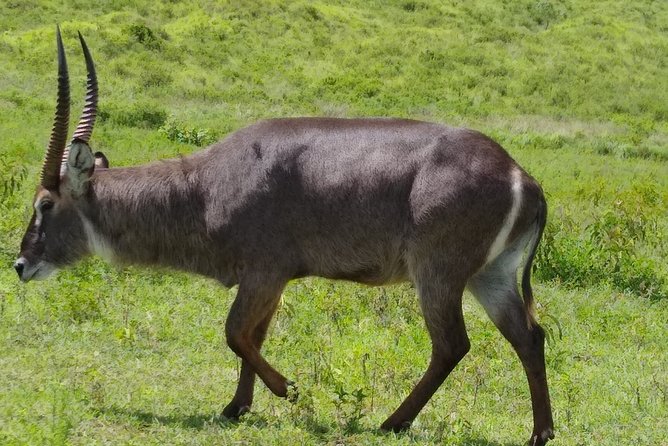 2 Day Safari Tarangire and Ngorongoro Crater - The overnight stop and what the package covers