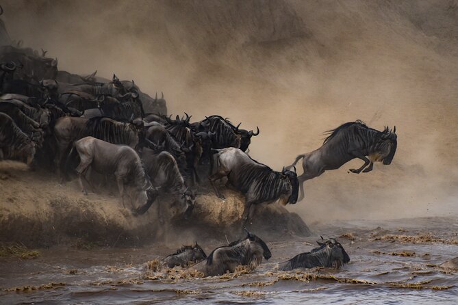 2-Day Sublime Safari to Tarangire and Ngorongoro Safari - Why Tarangire and Ngorongoro Work Well Together