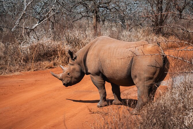 2 Day Tanzania Safari in Tarangire and Ngorongoro Crater - Lodging, meals, and practical comfort